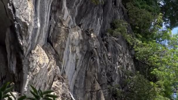 Azjatycka Małpa Wspinająca Się Ścianę Skalistych Gór Pobliżu Świątyni Batu — Wideo stockowe