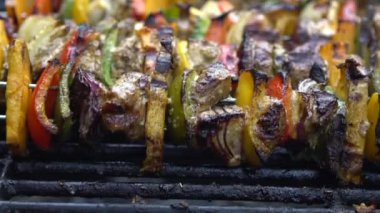 Şef ızgara etle barbekü pişiriyor. Arka bahçedeki barbeküde çok lezzetli bir brochette. Dan Evi 'nin bahçesinde ızgara barbeküyle pişirilen yemekler.