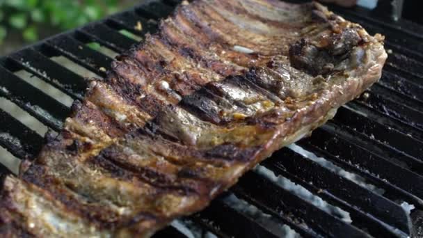Barbecue Rallentatore Con Deliziose Grigliate Carne Slowmo Grasso Barbecue Costolette — Video Stock