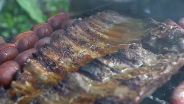 Slow Motion Cooking Barbecue Delicious Sauce Grilled Meat Slowmo Fatty — Stock Video