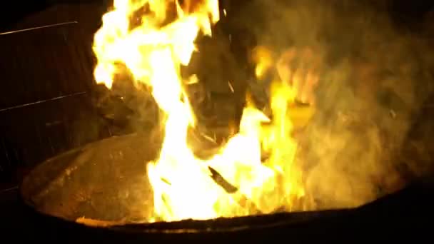 Slow Motion Hot Roaring Fire Red Coals Campfire Night Quemando — Vídeo de stock