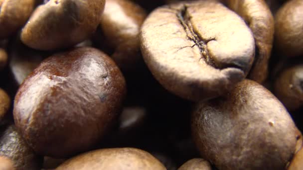 Geröstete Kaffeebohnen Rotieren Frische Zutat Für Die Zubereitung Eines Kaffee — Stockvideo