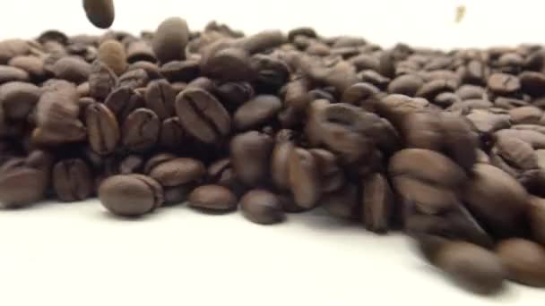 4K焙煎コーヒー豆が白を背に回転ダン — ストック動画