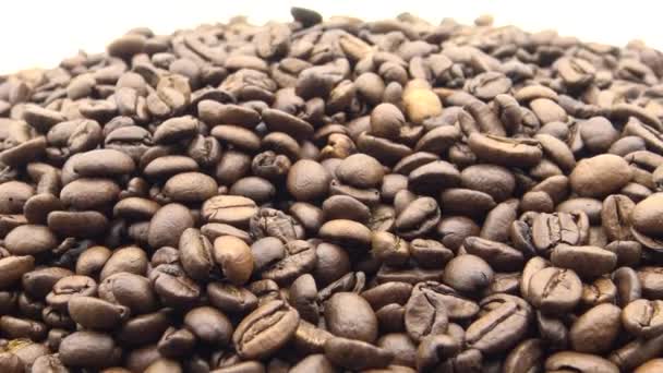 Roasted Coffee Beans Rotate White Background Dan — Stock Video