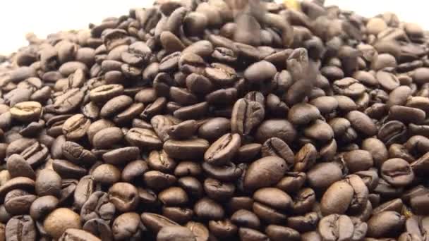 Kavrulmuş Kahve Fasulyeleri Beyaz Arkaplanda Döner — Stok video