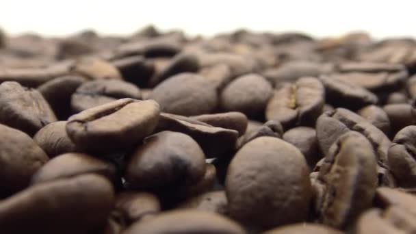 Geröstete Kaffeebohnen Drehen Sich Auf Weißem Hintergrund Dan — Stockvideo