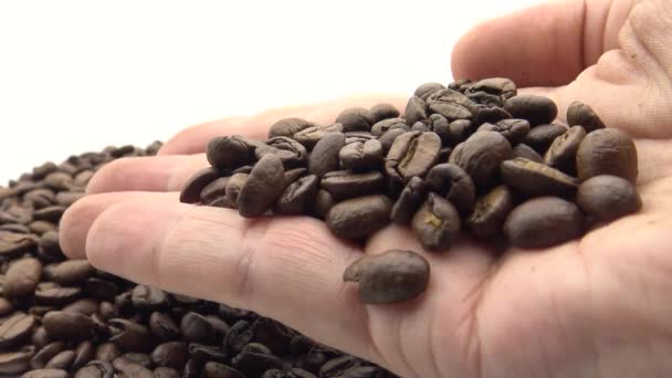 Hände Mit Frisch Geröstetem Kaffee Zutat Für Kaffee Dan — Stockvideo
