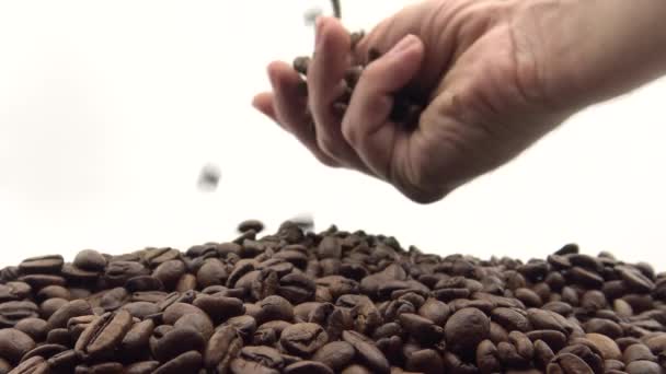 4K手はローストコーヒー豆を落下 コーヒー ダンの原料 — ストック動画