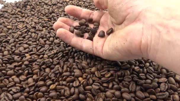 4K手拿着烤咖啡豆 煮咖啡的新鲜配料 — 图库视频影像