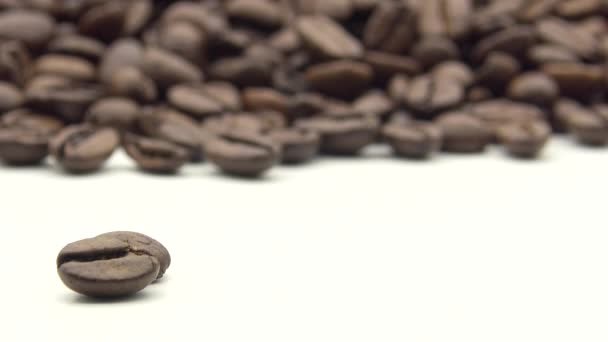 4Kハンドローストコーヒー豆を取ります コーヒー ダンの調製材料 — ストック動画