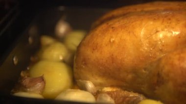 Şükran Günü hindisi fırında pişiyor. Tipik lezzetli tavuk yemeği hazırlıyorum. Lezzetli geleneksel Şükran Günü yemeği Dan.