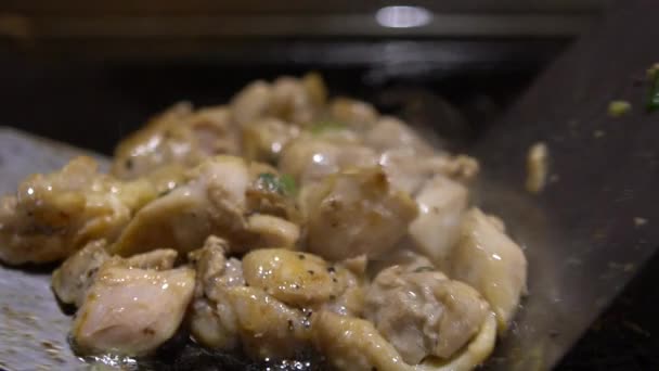 Slow Motion Cuisine Een Klein Stukje Chiken Een Chef Kookt — Stockvideo