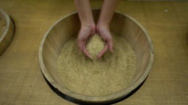 4K, kaliteyi kontrol etmek için toplanan sağlıklı çeltik pirincini tutan iki elin üst görüntüsünü kapat. Genç bir kadının avucunda pirinç tohumu. Pirinç taneleri arka planda. Çiftçi besleme kavramı - Dan