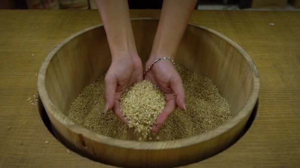 Lento Movimento Close Vista Superior Duas Mãos Segurando Arroz Paddy — Vídeo de Stock