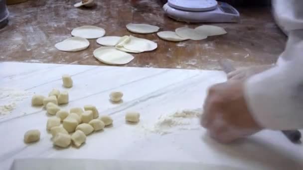 Team Taiwanese Chef Stende Pasta Prima Riempirla Carne Creare Jiaozi — Video Stock