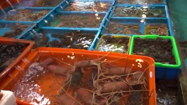 4K, Asya 'nın geleneksel deniz ürünleri standı, New Taipei' deki Fuji Balık Pazarı 'nda taze yiyecek satışı. Satıcı, Tayvan-Dan pazarındaki konteynırlarda midye, yengeç, ıstakoz ve istiridye satıyor.