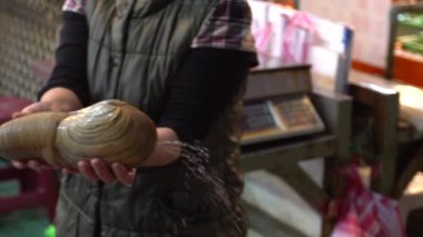 Slow Motion Asyalı kadın elinde kocaman bir Pasifik Geoduck tutuyor. Yenilebilir tuzlu su midyesi. Deniz ürünleri standı, Fuji Market 'in taze gıdalarını satmak. Pazarda satıcı Panopea generosa satıyor - Dan