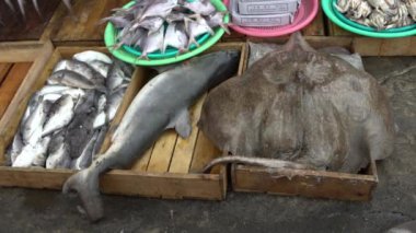 4K, Güney Koreli Köpekbalığı Satıcısı, Manta vatozu ve Jagalchi Balık Pazarı 'nda Balıklar. İnsanlar Busan, Güney Kore 'deki marketin caddesinde taze deniz ürünleri satıp alıyor.