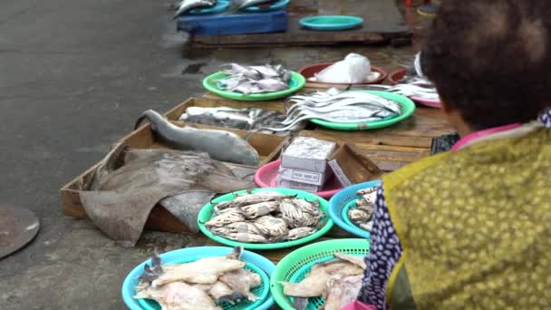韓国の売り手サメを販売 ジャガルチ魚市場でマンタレイと魚 人々が新鮮な魚介類を販売し 購入する釜山の市場の通りで — ストック動画