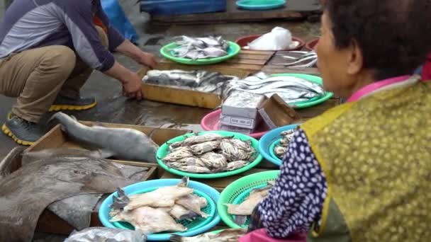 韓国の売り手サメを販売 ジャガルチ魚市場でマンタレイと魚 人々が新鮮な魚介類を販売し 購入する釜山の市場の通りで — ストック動画