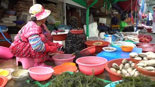 Busan Südkorea Juli 2017 Südkoreanerin Bei Der Arbeit Einem Fischmarkt — Stockvideo