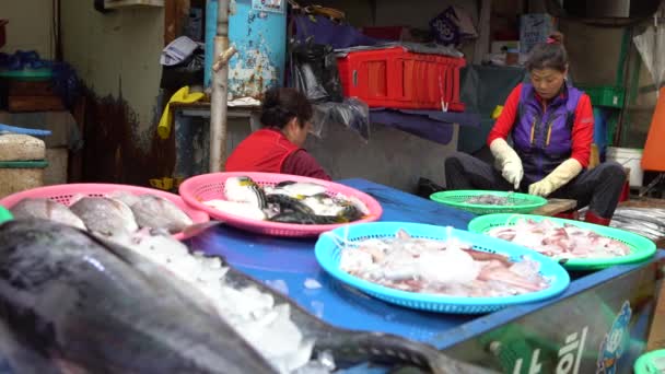 2017 2017年7月 4K韓国人女性が水産市場で働く新鮮な食品を販売するチャガルチ魚市場釜山の通り ダンにおける食品の製造 販売業者 — ストック動画