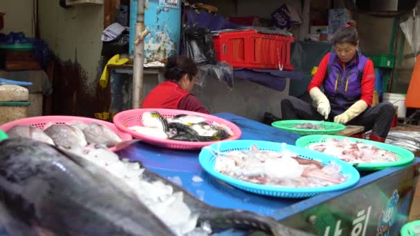 Busan Zuid Korea Juli 2017 Zuid Koreaanse Vrouw Aan Het — Stockvideo