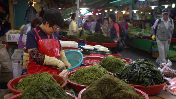 Busan Sydkorea Juli 2017 South Korean Woman Work Seafood Market — Stockvideo