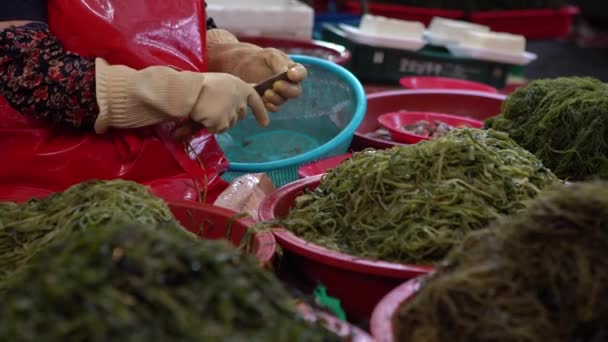 South Korean Woman Work Seafood Market Sell Fresh Clams Street — Stock Video