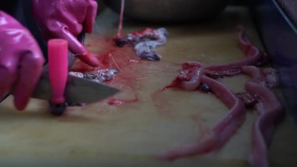 South Korean Woman Work Restaurant Prepping Kkomjangeo Grilling Knife Cut — Stock Video