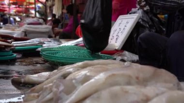 Busan, Güney Kore-01 Temmuz 2017: 4K Güney Koreli Kadın Deniz Ürünleri Marketinde Jagalchi Balık Pazarı Busan caddesinde taze yiyecek satıyor. Güney Kore-Dan 'de yiyecek hazırlayan ve satan tedarikçi.