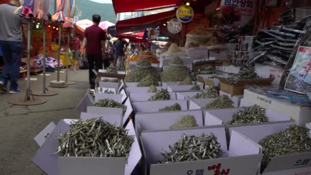 2017年7月 4K韓国のジャガルチ魚市場の売り手 水産物市場の売り手と人々韓国の釜山で生鮮食品を販売し 購入しています 干物販売 — ストック動画