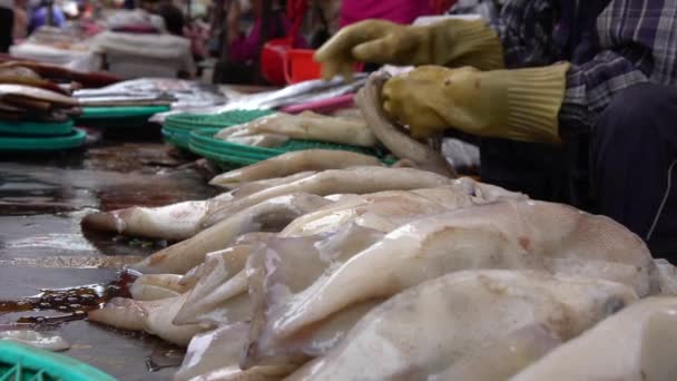 韓国の売り手は ジャガルチ魚市場で新鮮な冷凍イカを販売しています 魚市場が新鮮な魚介類を販売し 購入する釜山 ダンの通りで — ストック動画
