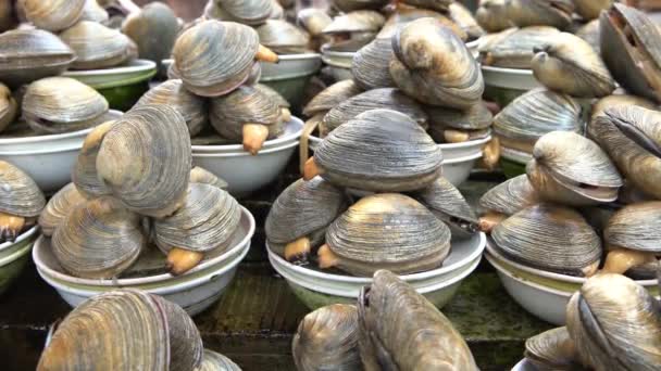 Femme Sud Coréenne Travail Dans Marché Fruits Mer Vendre Poulpe — Video