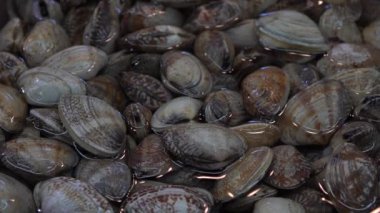 Yavaş çekimde Güney Koreli satıcı Jagalchi Balık Pazarı 'nda İstiridye Satıyor. Deniz ürünleri pazarındaki satıcılar ve Asyalılar Busan, Güney Kore-Dan sokaklarında taze yiyecek satıp satın alıyorlar.