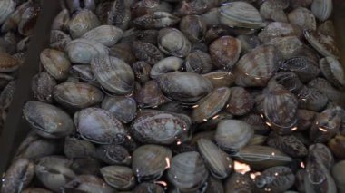 Yavaş çekimde Güney Koreli satıcı Jagalchi Balık Pazarı 'nda İstiridye Satıyor. Deniz ürünleri pazarındaki satıcılar ve Asyalılar Busan, Güney Kore-Dan sokaklarında taze yiyecek satıp satın alıyorlar.