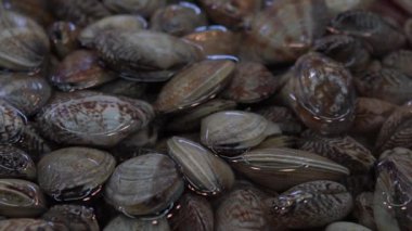 Yavaş çekimde Güney Koreli satıcı Jagalchi Balık Pazarı 'nda İstiridye Satıyor. Deniz ürünleri pazarındaki satıcılar ve Asyalılar Busan, Güney Kore-Dan sokaklarında taze yiyecek satıp satın alıyorlar.
