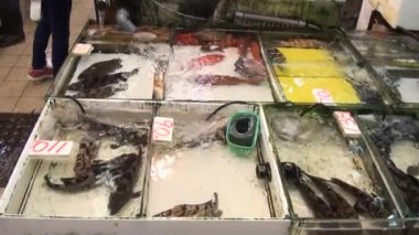 Satılık Hong Kong balık pazarında farklı gruplar halinde deniz ürünleri.