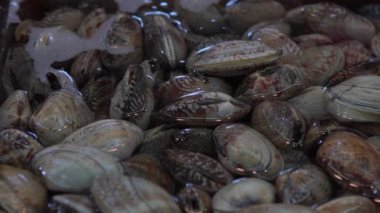 Yavaş çekimde Güney Koreli satıcı Jagalchi Balık Pazarı 'nda İstiridye Satıyor. Deniz ürünleri pazarındaki satıcılar ve Asyalılar Busan, Güney Kore-Dan sokaklarında taze yiyecek satıp satın alıyorlar.