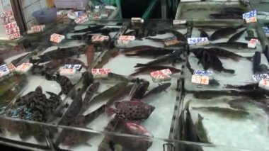 Satılık Hong Kong balık pazarında farklı gruplar halinde deniz ürünleri.