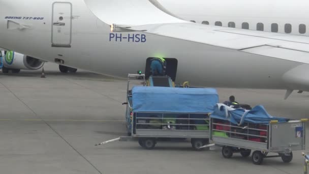 2015 Június Worker Arranging Passanger Luggages Airport Dan — Stock videók