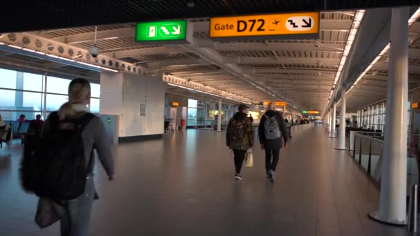 アムステルダム オランダ 12月2016 4Kアムステルダムスキポール国際空港で乗客とスチュワーデスの散歩 ターミナルラウンジゲートでのフライトをご希望のお客様 ヨーロッパ空港 — ストック動画