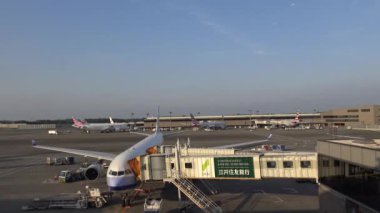 Japonya-07 Temmuz 2017: 4k, yer ekibi Tokio Uluslararası Havaalanı Havaalanı Terminali 'ne uçmak için bir uçak hazırlamakla meşgul. Trafik hareketleriyle en yoğun havaalanındaki uçağı görüntüle