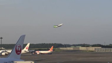 Japonya-07 Temmuz 2017: 4k, yer ekibi Tokio Uluslararası Havaalanı Havaalanı Terminali 'ne uçmak için bir uçak hazırlamakla meşgul. Trafik hareketleriyle en yoğun havaalanındaki uçağı görüntüle