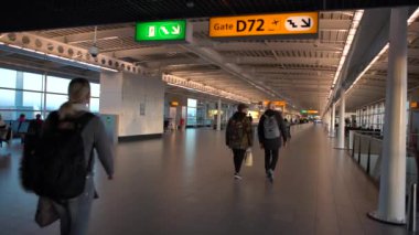 Amsterdam, Hollanda-05 Aralık 2016: 4K Yolcu ve hostes Amsterdam Schiphol Uluslararası Havalimanı 'nda yürüyor. İnsanlar terminalin kapısında uçmak için yürüyorlar. Avrupa havaalanları - Dan