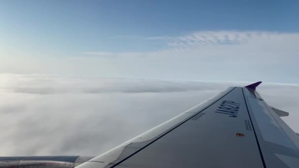 上記からの美しい雲は 飛行機の窓から見た 空気中を旅する 美しい青空との飛行旅行で飛行機の翼でキャビン内の旅行者のビュー Dan — ストック動画