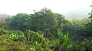 Eski demiryolundaki hareket halindeki lokomotiften orman ve dağın 4K görüntüsü. Tayland 'da seyahat eden bir yolcu treni. Manzara Geçiyor - Dan