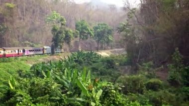4K Güzel Sarı ve Kırmızı Tren Manzarası Bangkok 'ta Başlıyor Chiang Mai' ye Git. Tayland 'da Yolcu Treni. Demiryolları Transit Yolculuğu - Dan