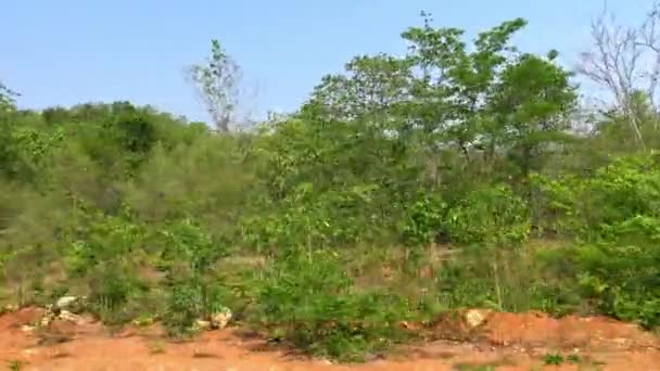 Vista Del Bosque Montaña Través Ventana Desde Tren Locomotoras Movimiento — Vídeo de stock