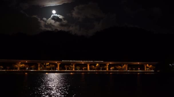 Trem Elevado Viaja Ponte Sobre Lago Durante Nigth Com Lua — Vídeo de Stock